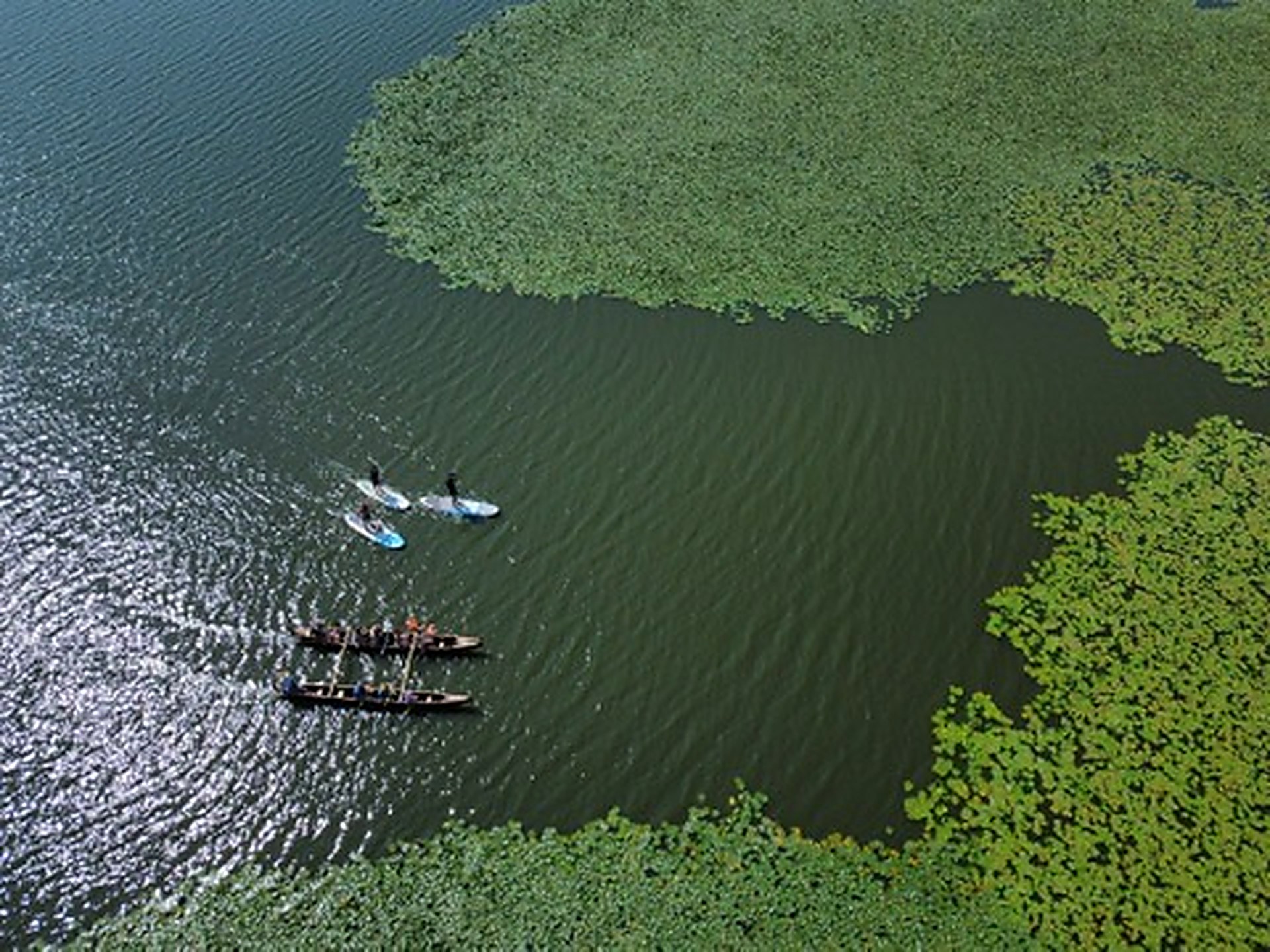 Vue du ciel : une pirogue et trois paddles sur le lac marin, le long des herbiers